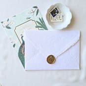 "Peacock Feather- Customizable Color- Set of 25  Hand-crafted Wax Seals" - Wax Seals in multicolor by Inkspiringletters