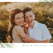 "evergreen branches" - Holiday Cards in Moss by Karidy Walker - Detail