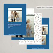 "Family Crest" - Holiday Cards in Blue Spruce by Cass Loh - Back of Card Options