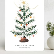 "Silver Tip" - Holiday Cards in Snow by Ani Somi - Front