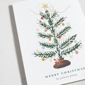 "Silver Tip" - Holiday Cards in Snow by Ani Somi - Detail