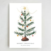 "Silver Tip" - Holiday Cards in Snow by Ani Somi - Full Design