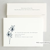 "Sparklers" - Holiday Cards in Navy by Paula Pecevich - FREE Recipient Addressing