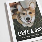 "Puppy Love and Joy" - Holiday Cards in Snow by Hooray Creative - Detail