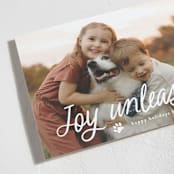 "Unleashed" - Holiday Cards in Snow by Annie Holmquist - Detail