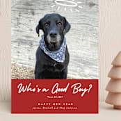 "Good Boy" - Holiday Cards in Crimson by J. Dario Design Co. - Front