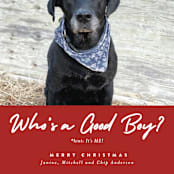 "Good Boy" - Holiday Cards in Crimson by J. Dario Design Co. - Detail
