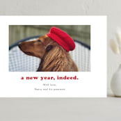 "Indeed" - Holiday Cards in Peppermint by Kristen Knechtel - Front