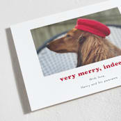 "Indeed" - Holiday Cards in Peppermint by Kristen Knechtel - Detail