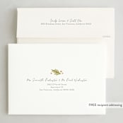 "Travel Greetings" - Holiday Cards in Coconut by Meggy Masters - FREE Recipient Addressing