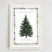 "Decorated Christmas" - Holiday Cards in Frost by Susan Moyal - Full Design