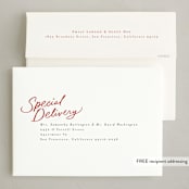 "Delightful Mix" - Holiday Cards in Brick by Everett Paper Goods - FREE Recipient Addressing