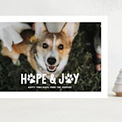 "Puppy Love and Joy" - Holiday Cards in Snow by Hooray Creative - Front