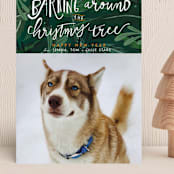 "Barking Fun" - Holiday Cards in Evergreen by Stephanie Given - Front