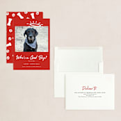 "Good Boy" - Holiday Cards in Crimson by J. Dario Design Co. - Assembled