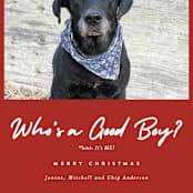"Good Boy" - Holiday Cards in Crimson by J. Dario Design Co. - Detail