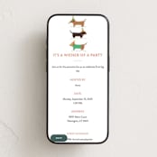 Hero Carousel