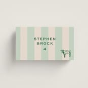 "Rhode" - Place Cards - Beef in Mint by Megan Davis - Front with Free Guest Printing