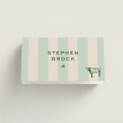 "Rhode" - Place Cards - Beef in Mint by Megan Davis - Folded with Free Guest Printing