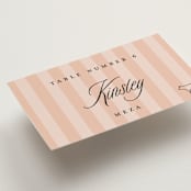 "A Simple Stripe Meal Choice" - Place Cards - Beef in Candy by Susan Zinader - Detail