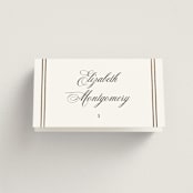 "Scripted Striped" - Place Cards in Silk by Carolyn MacLaren - Folded with Free Guest Printing