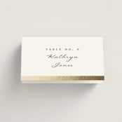 "Defined" - Place Cards in Snow by mo kelley - Folded with Free Guest Printing