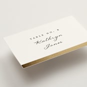 "Defined" - Place Cards in Snow by mo kelley - Detail
