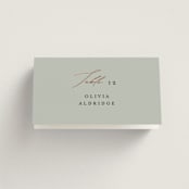 "Gilded Script" - Place Cards in Sage by Angela Thompson - Folded with Free Guest Printing