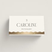 "Inventive" - Place Cards in Pepper by Olivia Raufman - Folded with Free Guest Printing