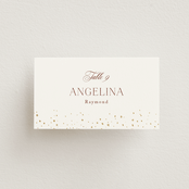 "Brooklyn Bridge" - Place Cards in Chiffon by Cass Loh - Front with Free Guest Printing