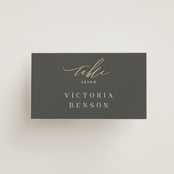 "Over Monogram" - Place Cards in Stormy by Jessica Williams - Front with Free Guest Printing