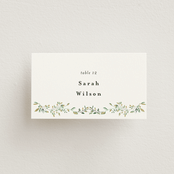 "Monogramed Arch" - Place Cards in Mojito by Susan Moyal - Front with Free Guest Printing
