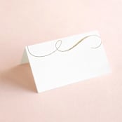 "Fantasia" - Place Cards in Sugar by Jessica Williams - Blank front