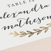 "Elegant Announcement" - Place Cards in Vanilla by Kelly Schmidt - Detail