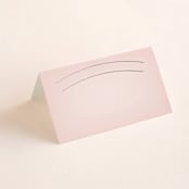 "Big City" - Place Cards in Blush by Hooray Creative - Blank front