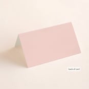 "Big City" - Place Cards in Blush by Hooray Creative - Folded Back of Card
