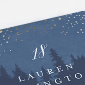 "Aspen" - Place Cards in Midnight by Kristie Kern - Detail