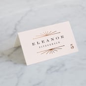 "Art Deco Border" - Place Cards in Blush by Hooray Creative - Folded with Free Guest Printing