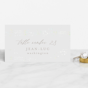 "Starry Sky" - Gloss-Press® Place Cards in Iridescent by Phrosné Barwood - Front with Free Guest Printing