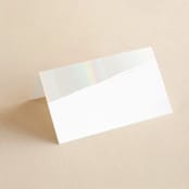 "Halcyon" - Gloss-Press® Place Cards in Snow by Leah Bisch - Blank front