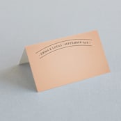 "Big City - Atlanta" - Place Cards in Georgia Peach by Hooray Creative - Blank front
