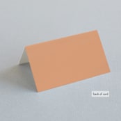 "Big City - Atlanta" - Place Cards in Georgia Peach by Hooray Creative - Folded Back of Card