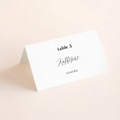 "Nolita" - Place Cards in Silk by Annie Clark - Folded with Free Guest Printing
