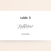 "Nolita" - Place Cards in Silk by Annie Clark - Detail