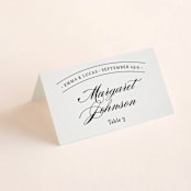 "Big City - Philadelphia" - Place Cards in Light Taupe by Hooray Creative - Folded with Free Guest Printing