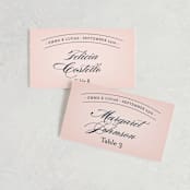 "Big City - San Diego" - Place Cards in Blush by Hooray Creative - Front with Free Guest Printing