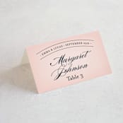 "Big City - San Diego" - Place Cards in Blush by Hooray Creative - Folded with Free Guest Printing