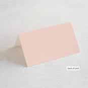 "Big City - San Diego" - Place Cards in Blush by Hooray Creative - Folded Back of Card