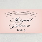 "Big City - San Diego" - Place Cards in Blush by Hooray Creative - Detail