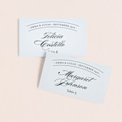 "Big City - Boston" - Place Cards in Pale Blue by Hooray Creative - Front with Free Guest Printing